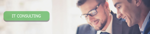 IT Consulting Netesi Italia